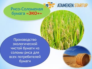 Производство
  экологической
 чистой бумаги из
 соломы риса для
всех потребителей
      бумаги
 