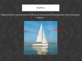 ПАРУСА


Практически на всех яхтах сейчас установлены бермудские (треугольные)
                                паруса.




                                             СТАКСЕЛЬ
                   ГРОТ
 