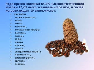 Ядра орехов содержат 63,9% высококачественного
масла и 17,2% легко усваиваемых белков, в состав
которых входят 19 аминокислот:
   триптофан,
   лецин и изолецин,
   валин,
   лизин,
   метионин,
   глутаминовая кислота,
   гистидин,
   пролин,
   серин,
   глицин,
   треонин,
   аланин,
   аспарагиновая кислота,
   фенилаланин,
   цистин и цистеин,
   аргинин,
   тирозин.
 