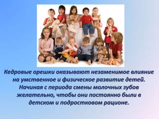 Кедровые орешки оказывают незаменимое влияние
   на умственное и физическое развитие детей.
     Начиная с периода смены молочных зубов
    желательно, чтобы они постоянно были в
        детском и подростковом рационе.
 