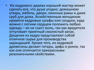 • Из кедрового дерева хороший мастер может
  сделать все, что душе угодно: домашнюю
  утварь, мебель, двери, оконные рамы и даже
  сруб для дома. Хозяйственным женщинам
  нравятся кедровые шкафы или сундуки, куда
  можно с легким сердцем положить любую
  одежду – ее не съест моль, так как вредителя
  отпугивает приятный смолистый запах.
  Дощечки из кедра представляют собой
  отличное сырье для производства
  карандашей. Кроме того, из кедровой
  древесины делают гитары, арфы и рояли, так
  как они отличается прекрасными
  резонансными свойствами.
 