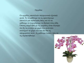 Οξρηδέα:

Οη νξρηδέεο απνηεινύλ ζαγελεπηηθά εμσηηθά
θπηά. Τν λα κάζνπκε λα ηηο θξνληίδνπκε
απνηειεί κία πξόθιεζε όπσο θαη ην λα
κάζνπκε λα μερσξίδνπκε ηα βαζηθά ηνπο είδε.
Όπνηνο αζρνιεζεί κε ηηο νξρηδέεο είλαη ζίγνπξν
όηη ζα ηηο εληάμεη κε ραξά ζηα θπηά πνπ
ζηνιίδνπλ ην ρώξν ηνπ θαη δελ ζα ηηο
απνρσξηζηεί πνηέ. Αο κάζνπκε ινηπόλ πώο λα
ηηο πεξηπνηεζνύκε.
 