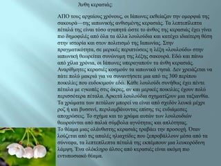 Άλζε θεξαζηάο:

ΑΠΟ ηνπο αξραίνπο ρξόλνπο, νη Ηάπσλεο εθζείαδαλ ηελ νκνξθηά ηεο
ζαθνπξά—ηεο ηαπσληθήο αλζηζκέλεο θεξαζηάο. Τα ιεπηεπίιεπηα
πέηαιά ηεο είλαη ηόζν αγαπεηά ώζηε ην άλζνο ηεο θεξαζηάο έρεη γίλεη
πην δεκνθηιέο από όια ηα άιια ινπινύδηα θαη θαηέρεη ηδηαίηεξε ζέζε
ζηελ ηζηνξία θαη ζηνλ πνιηηηζκό ηεο Ηαπσλίαο. Σηελ
πξαγκαηηθόηεηα, ζε κεξηθέο πεξηπηώζεηο ε ιέμε «ινπινύδη» ζηελ
ηαπσληθή ζεσξείηαη ζπλώλπκε ηεο ιέμεο ζαθνπξά. Δδώ θαη πάλσ
από ρίιηα ρξόληα, νη Ηάπσλεο ππεξαγαπνύλ ηα άλζε θεξαζηάο.
Αλαξίζκεηεο θεξαζηέο θνζκνύλ ηα ηαπσληθά λεζηά. Γελ ρξεηάδεηαη λα
πάηε πνιύ καθξηά γηα λα ζπλαληήζεηε κηα από ηηο 300 πεξίπνπ
πνηθηιίεο πνπ επδνθηκνύλ εδώ. Κάζε ινπινύδη ζπλήζσο έρεη πέληε
πέηαια κε εγθνπέο ζηηο άθξεο, αλ θαη κεξηθέο πνηθηιίεο έρνπλ πνιύ
πεξηζζόηεξα πέηαια. Αξθεηά ινπινύδηα ζρεκαηίδνπλ κηα ηαμηαλζία.
Τα ρξώκαηα ησλ πεηάισλ κπνξεί λα είλαη από ζρεδόλ ιεπθά κέρξη
ξνδ ή θαη βπζζηλί, πεξηιακβάλνληαο επίζεο ηηο ελδηάκεζεο
απνρξώζεηο. Τν ζρήκα θαη ην ρξώκα απηώλ ησλ ινπινπδηώλ
ζεσξνύληαη από παιηά ζύκβνια αγλόηεηαο θαη απιόηεηαο.
Τν ζέακα κηαο νιάλζηζηεο θεξαζηάο ηξαβάεη ηελ πξνζνρή. Όηαλ
ινύδεηαη από ηηο απαιέο ειηαρηίδεο πνπ μεπξνβάιινπλ κέζα από ηα
ζύλλεθα, ηα ιεπηεπίιεπηα πέηαιά ηεο εθπέκπνπλ κηα ιεπθνξόδηλε
ιάκςε. Έλα νιόθιεξν άιζνο από θεξαζηέο είλαη αθόκε πην
εληππσζηαθό ζέακα.
 