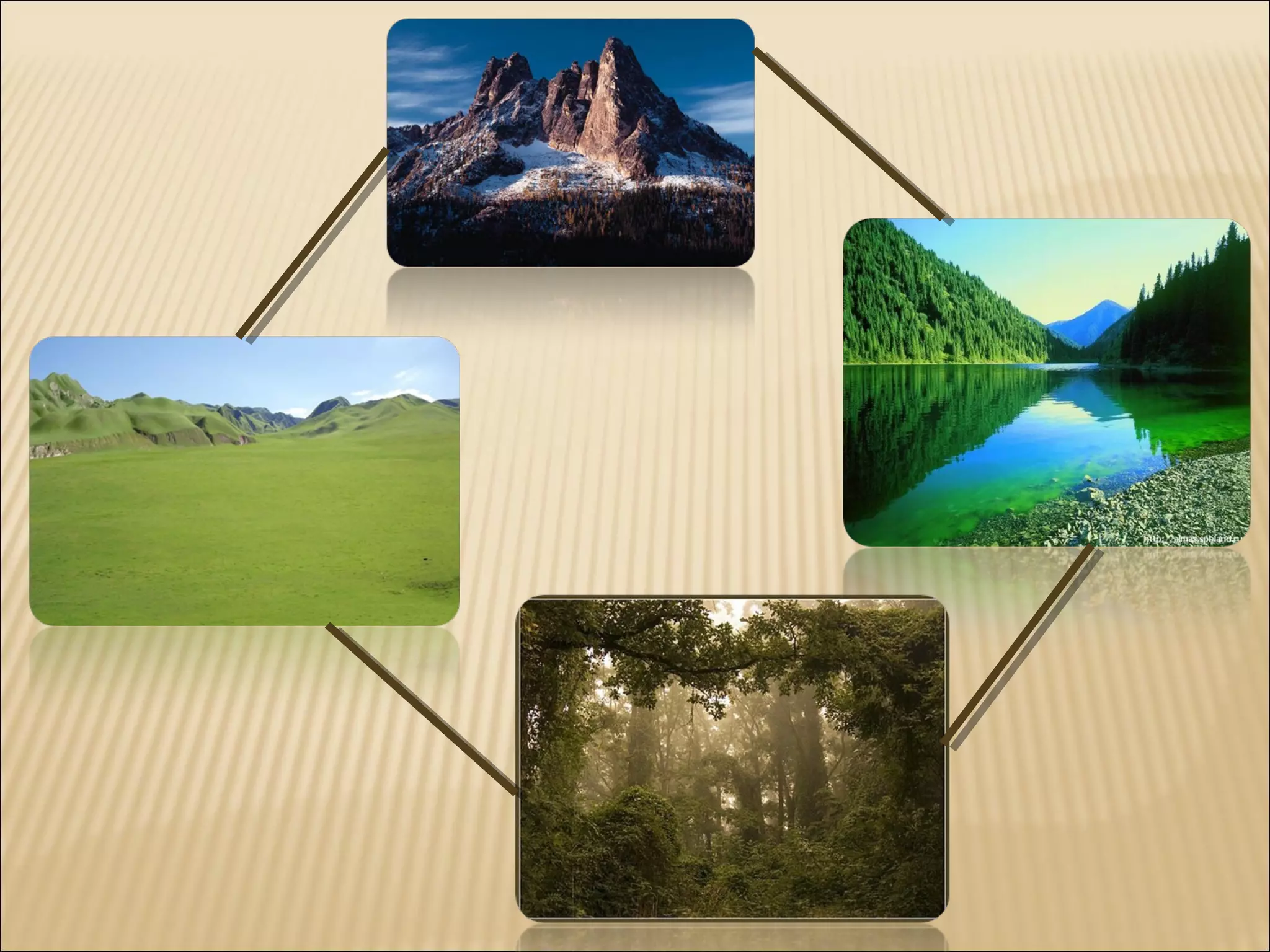 путешествие во владения графа информатики