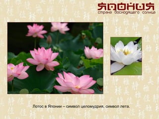 Лотос в Японии – символ целомудрия, символ лета.
 