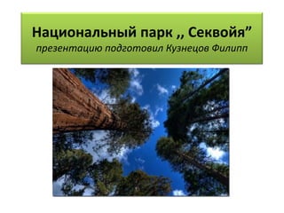 Национальный парк ,, Секвойя”
презентацию подготовил Кузнецов Филипп
 