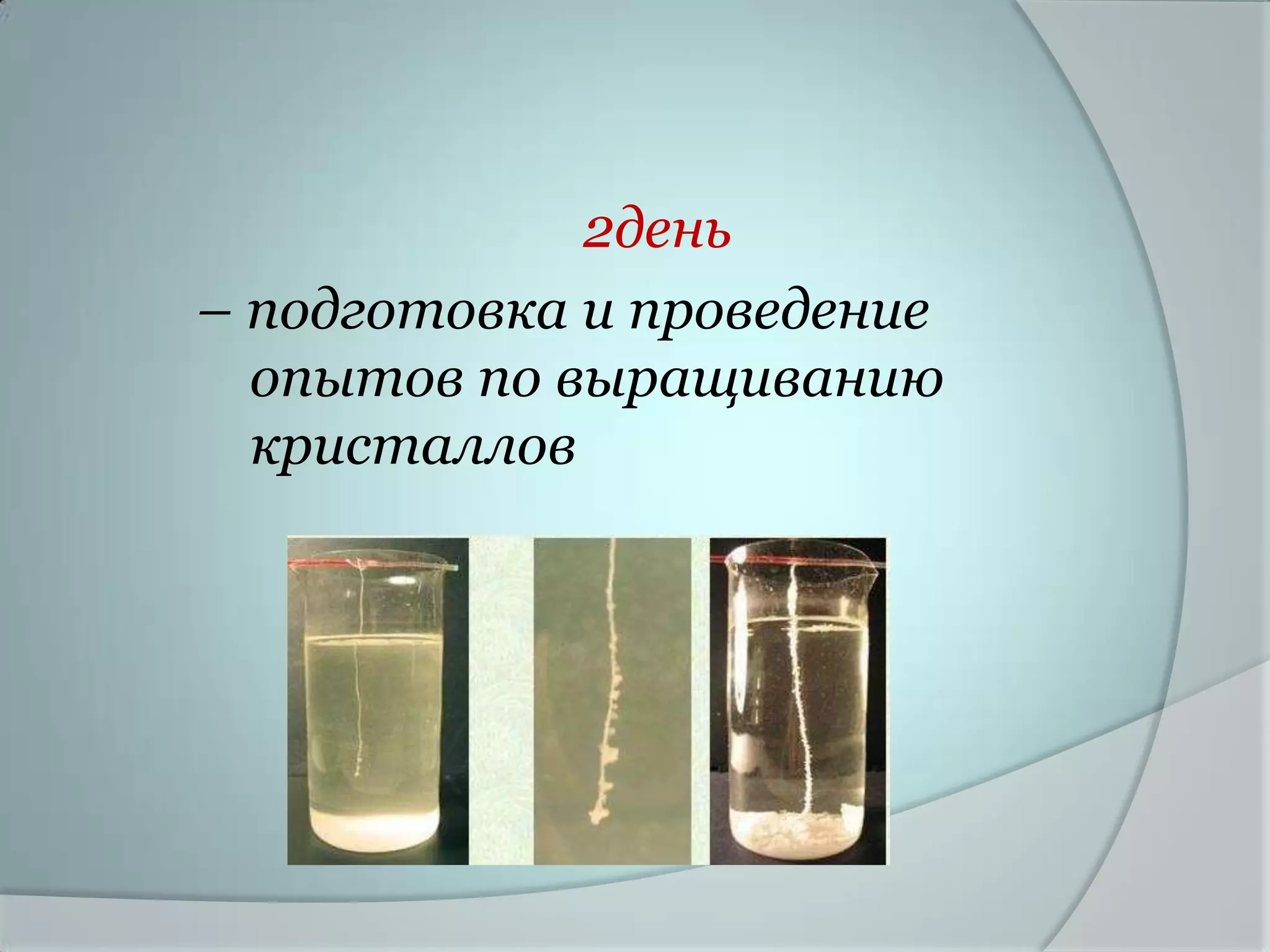 2день
– подготовка и проведение
  опытов по выращиванию
  кристаллов
 