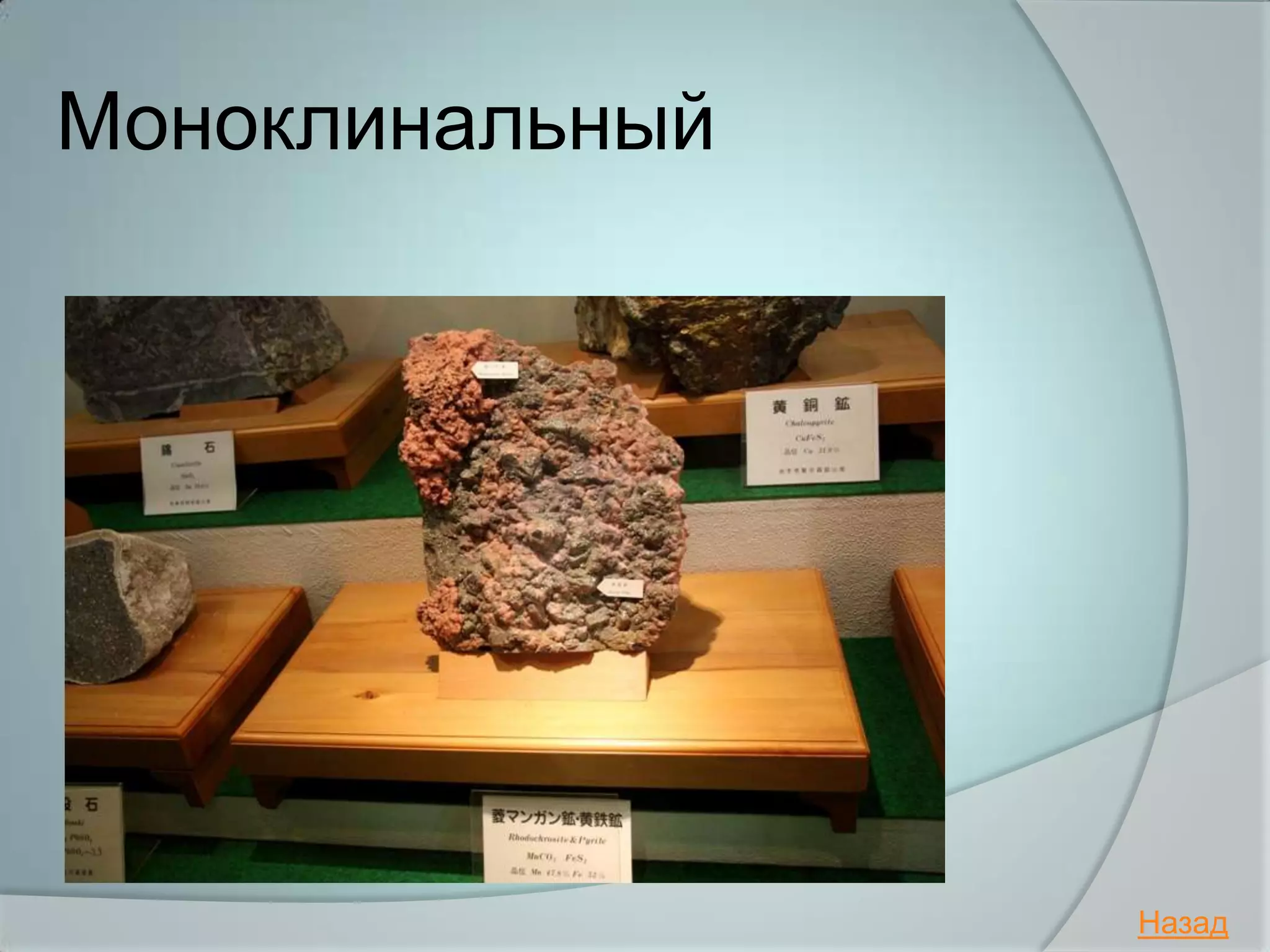 Моноклинальный




                 Назад
 