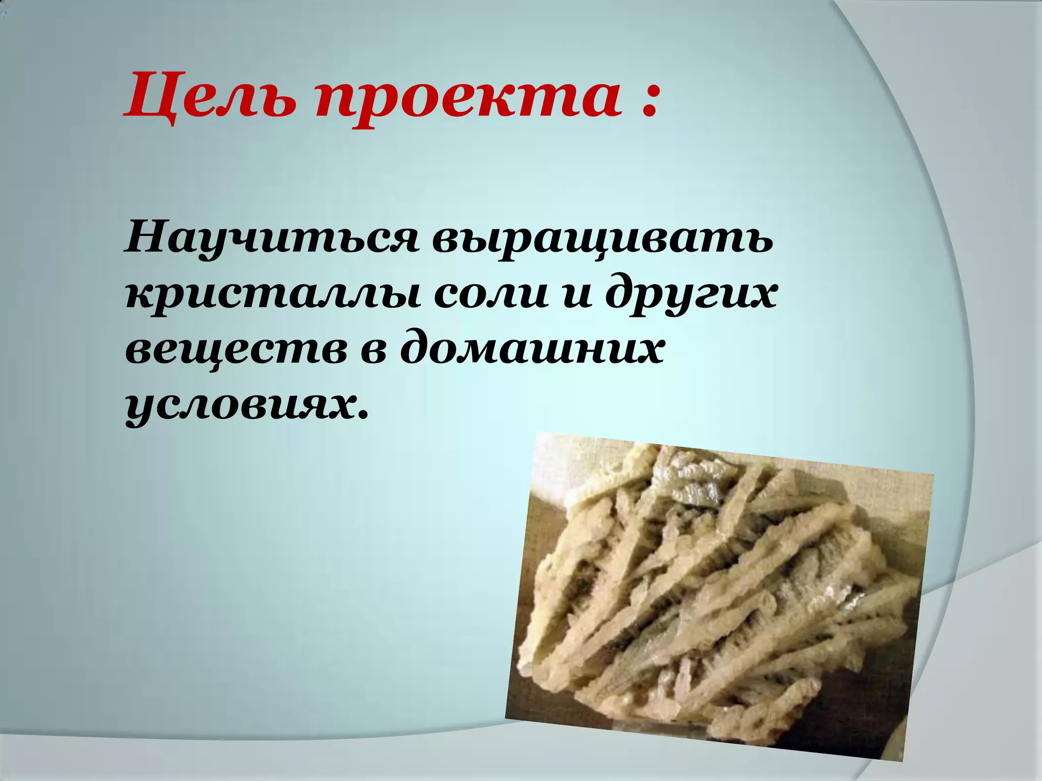 Цель проекта :

Научиться выращивать
кристаллы соли и других
веществ в домашних
условиях.
 
