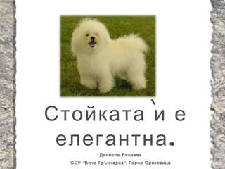 Стойката и е
 елегантна .
             Даниела Велчева
  СОУ “ Вичо Грънчаров ”, Горна Оряховица
 