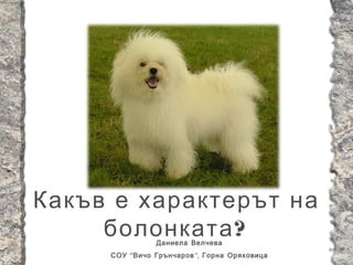 Какъв е характерът на
     болонката ?Даниела Велчева
     СОУ “ Вичо Грънчаров ”, Горна Оряховица
 