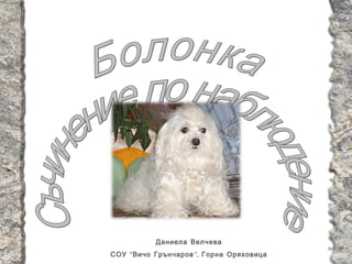 Даниела Велчева
СОУ “ Вичо Грънчаров ”, Горна Оряховица
 