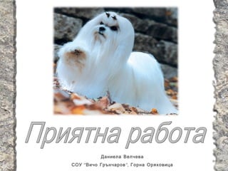 Даниела Велчева
СОУ “ Вичо Грънчаров ”, Горна Оряховица
 