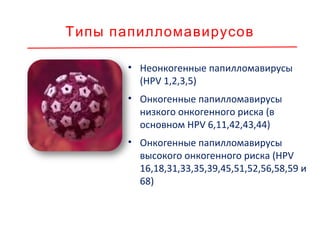 Причинные типы HPV при
заболеваниях кожи
 