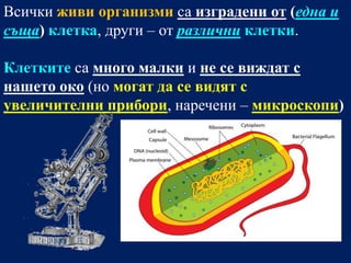 Всички живи организми са изградени от (една и
съща) клетка, други – от различни клетки.

Клетките са много малки и не се виждат с
нашето око (но могат да се видят с
увеличителни прибори, наречени – микроскопи)
 