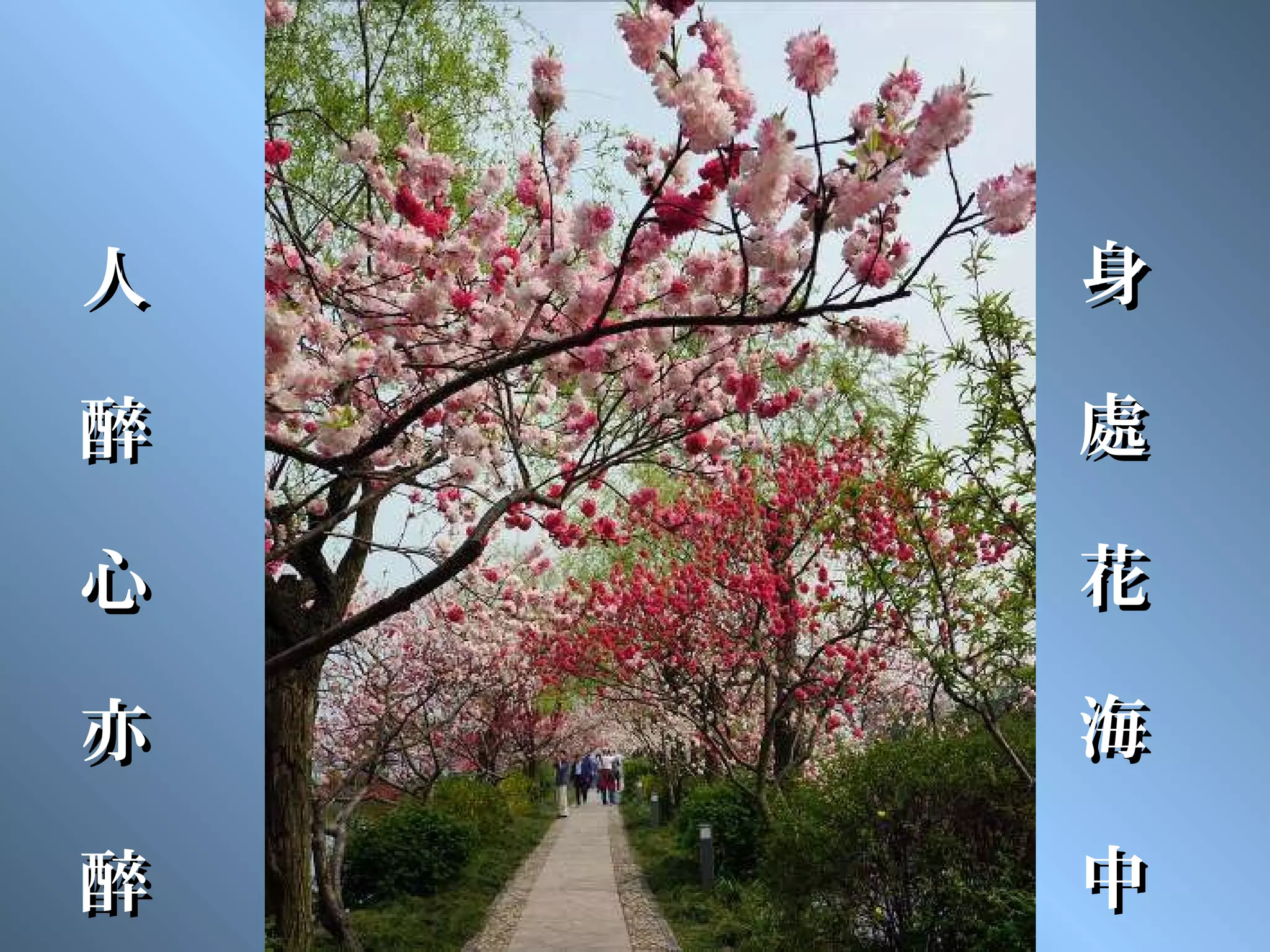 人   身

醉   處

心   花

亦   海

醉   中
 