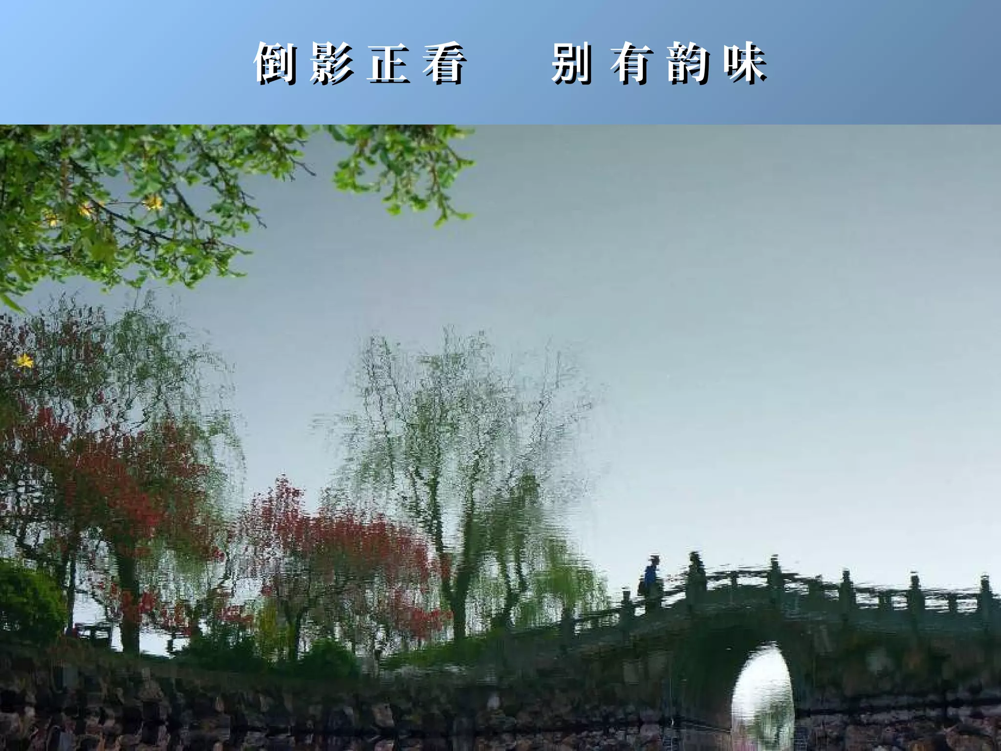 倒影正看   别有韵味
 