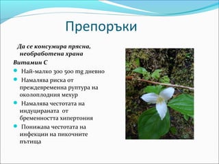 Препоръки
 Да се консумира прясна,
  необработена храна
Витамин С
 Най-малко 300 500 mg дневно
 Намалява риска от
  преждевременна руптура на
  околоплодния мехур
 Намалява честотата на
  индуцираната от
  бременността хипертония
 Понижава честотата на
  инфекции на пикочните
  пътища
 