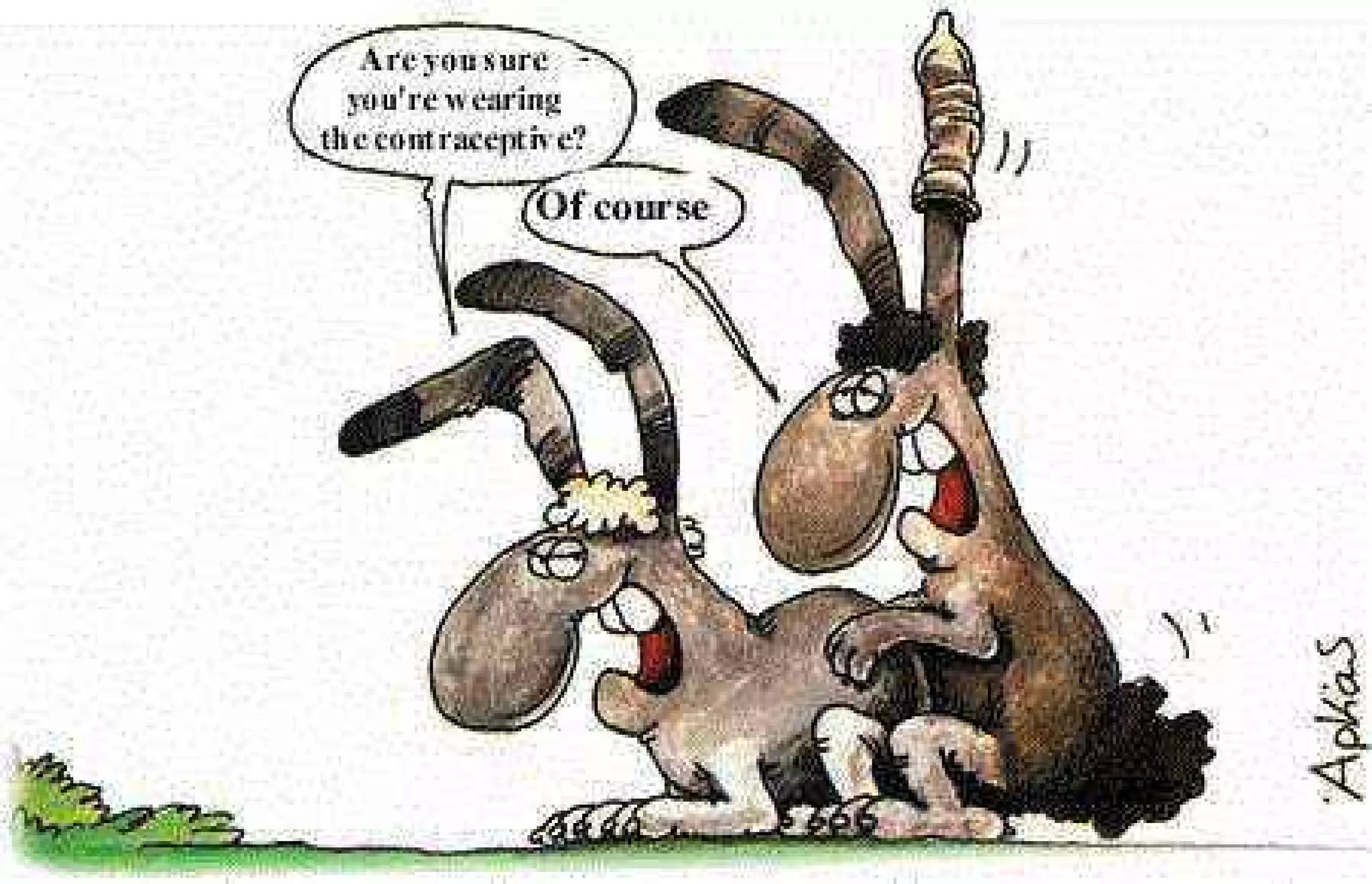 ξυπνάς μέσα μου το ζώο