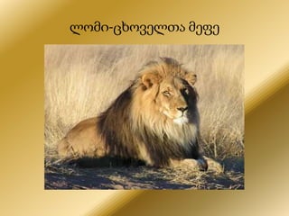 ლომი-ცხოველთა მეფე
 