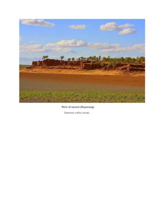 Rich of saxaul (Bayanzag)

 Баянзаг гэдэг газар…
 