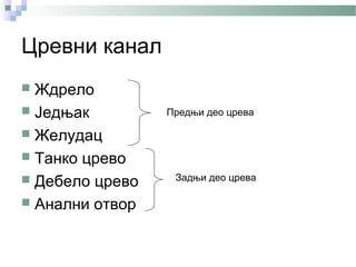 Цревни канал
 Ждрело
 Једњак         Предњи део црева

 Желудац
 Танко црево
 Дебело црево    Задњи део црева

 Анални отвор
 