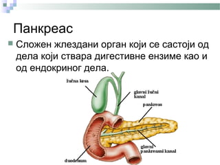 Панкреас
   Сложен жлездани орган који се састоји од
    дела који ствара дигестивне ензиме као и
    од ендокриног дела.
 