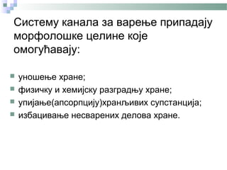 Систему канала за варење припадају
морфолошке целине које
омогућавају:

   уношење хране;
   физичку и хемијску разградњу хране;
   упијање(апсорпцију)хранљивих супстанција;
   избацивање несварених делова хране.
 