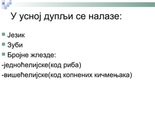 У усној дупљи се налазе:
  Језик
 Зуби
 Бројне жлезде:

-једноћелијске(код риба)
-вишећелијске(код копнених кичмењака)
 