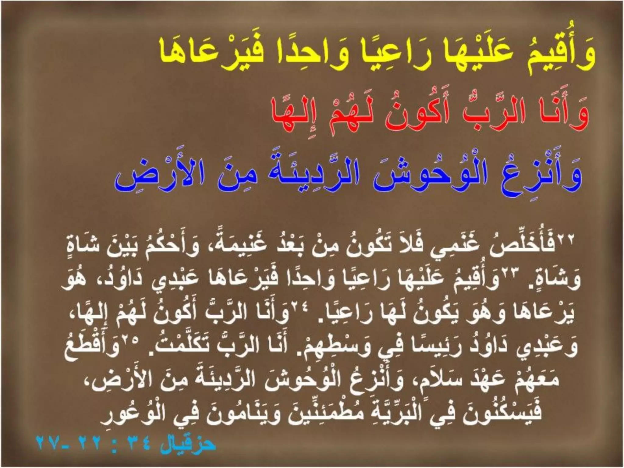 مصارعاتنا ليست مع دم و لحم