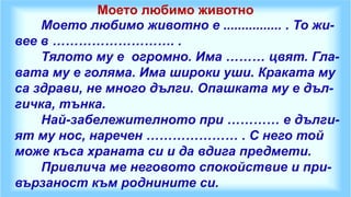 Моето любимо животно
    Моето любимо животно е ................ . То жи-
вее в ………………………. .
    Тялото му е огромно. Има ……… цвят. Гла-
вата му е голяма. Има широки уши. Краката му
са здрави, не много дълги. Опашката му е дъл-
гичка, тънка.
    Най-забележителното при ………… е дълги-
ят му нос, наречен ………………… . С него той
може къса храната си и да вдига предмети.
    Привлича ме неговото спокойствие и при-
вързаност към роднините си.
 