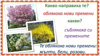 Какво направиха те?
 облякоха нови премени
           какви?
          съблякоха си
          премените
Те облякоха нови премени:
жълти, бели, розови.
 