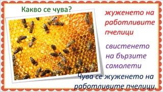 Какво се чува?          жуженето на
                        работливите
                        пчелици
                          свистенето
                          на бързите
                          самолети
                  Чува се жуженето на
                 работливите пчелици.
 