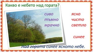 Какво е небето над гората?
                  сиво       ясно
                  тъмно      чисто
                  мрачно     светло

                              синее

       Над гората синее ясното небе.
 