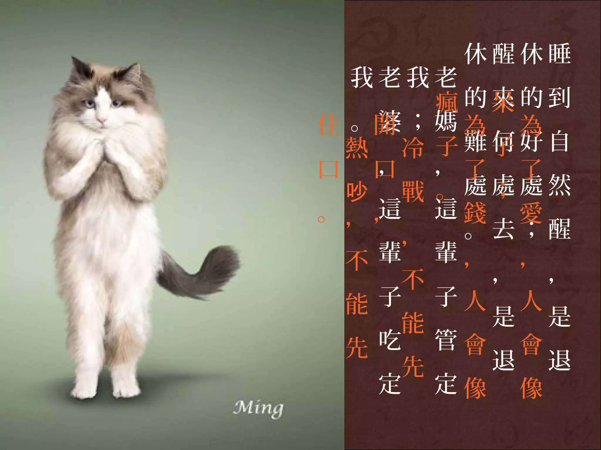 休醒休睡
  我老我老
       瘋的呆的到
          來
住 。開 ； 媽 為 為
   婆
 熱 冷 子難子好自何
口 口， ，了 了
 吵 戰 。處；處然處
。，，這 這錢 愛
    ，    。去；醒
 不 輩 輩， ，
    不     ， ，
 能 子 子人 人
    能     是 是
 先 吃 管會 會
    先     退 退
   定 定像 像
 