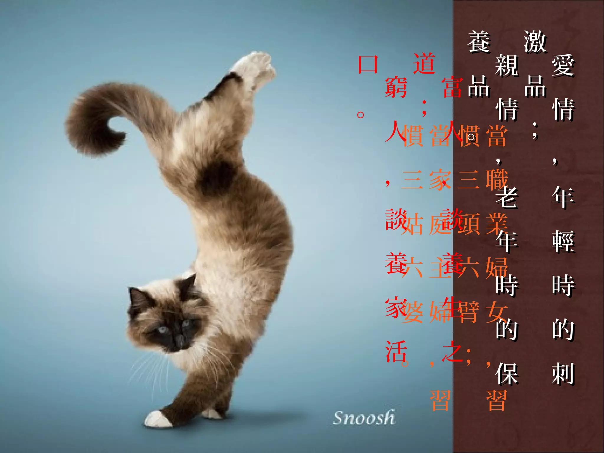 養       激
口       道        親       愛
    窮       富品       品
。     ；   情 情
    人 當慣當 ；
     慣 人。
          ， ，
    ， 家三職
     三 ，
          老 年
    談 庭頭業
     姑 談
          年 輕
    養 主六婦
     六 養
          時 時
    家 婦臂女
     婆 生
          的 的
    活 ，；，
     。 之
          保 刺
       習 習
 