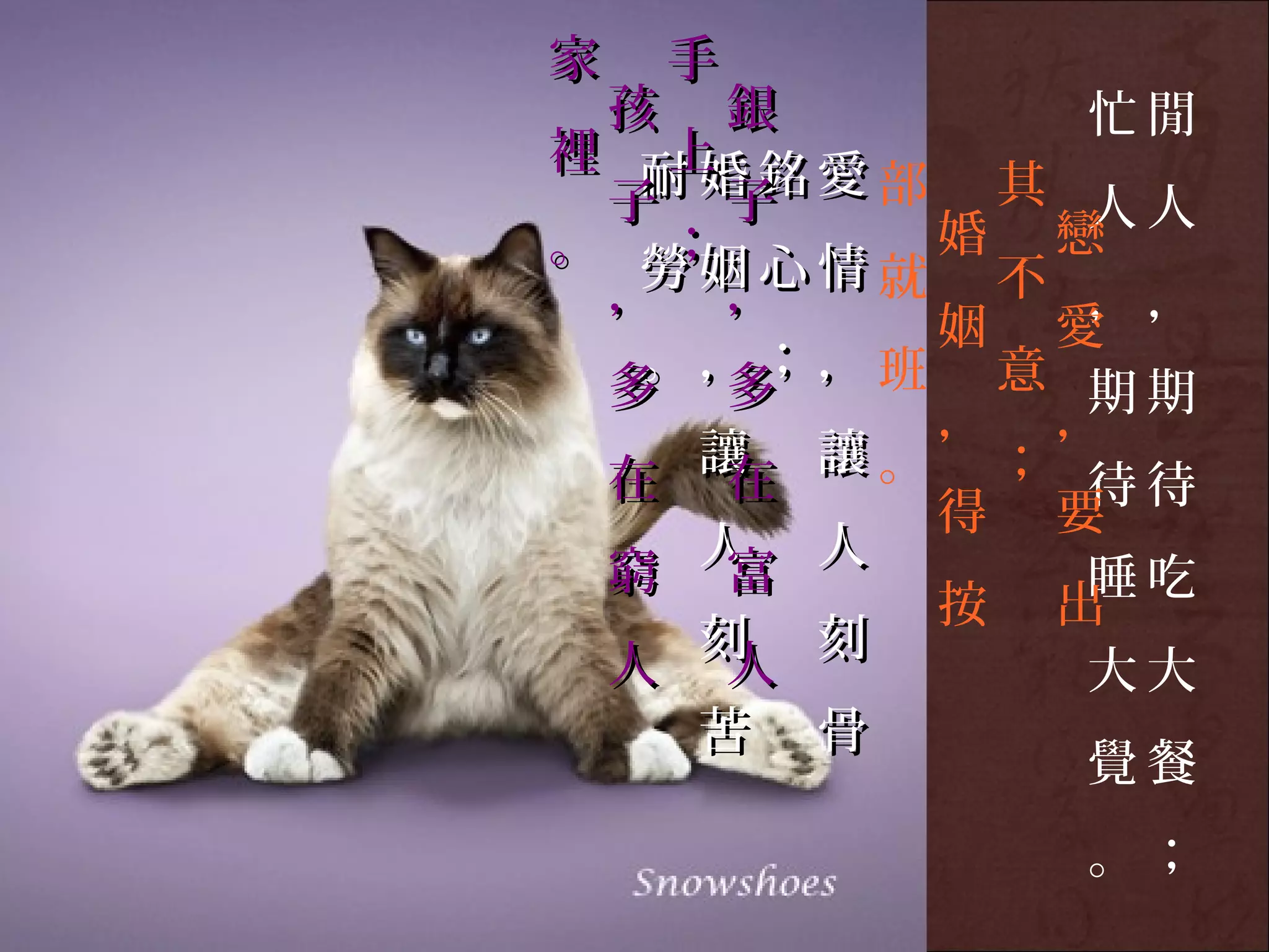 家   手
 孩 銀       忙閒
  上
裡 耐婚銘愛
 子 子   部 其 人人
。 勞姻心情 婚 戀
  ；
 ， ，   就 不 ，，
        姻 愛
  。，；，班 意
 多 多       期期
        ， ，
   讓 讓。 ；
 在 在       待待
        得 要
   人 人
 窮 富       睡吃
        按 出
   刻 刻
 人 人       大大
   苦 骨
           覺餐
          。；
 