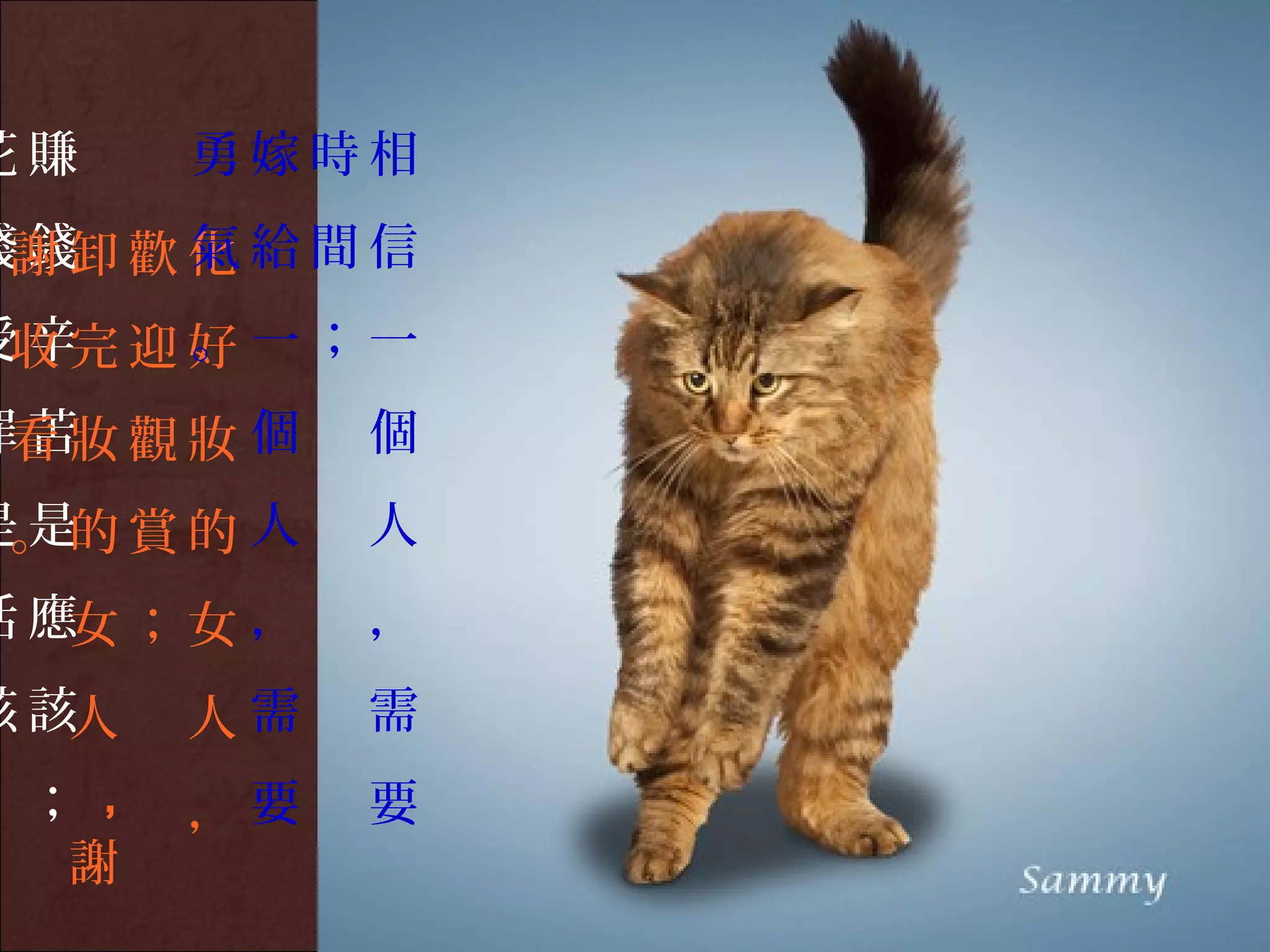 花賺     勇嫁時相
錢謝 卸 歡 化 給 間 信
 錢     氣
受收 完 迎 好 一 ； 一
 辛     。
罪看 妝 觀 妝 個
 苦           個
是。 的 賞 的 人
 是           人
活 應女 ； 女 ，   ，
該 該人   人需    需
。；，    ，要    要
  謝
 