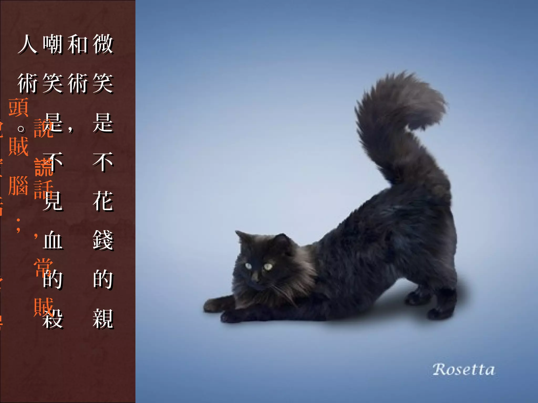 人嘲和微
  術笑術笑
  頭
說 。是，是
    說
  賊
實 謊 不 不
  腦話
話   見 花
  ；，
，   血 錢
    常
常   的 的
    賊
愣   殺 親
 