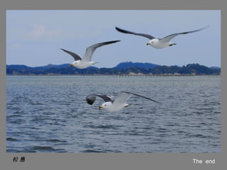 松島   The end
 