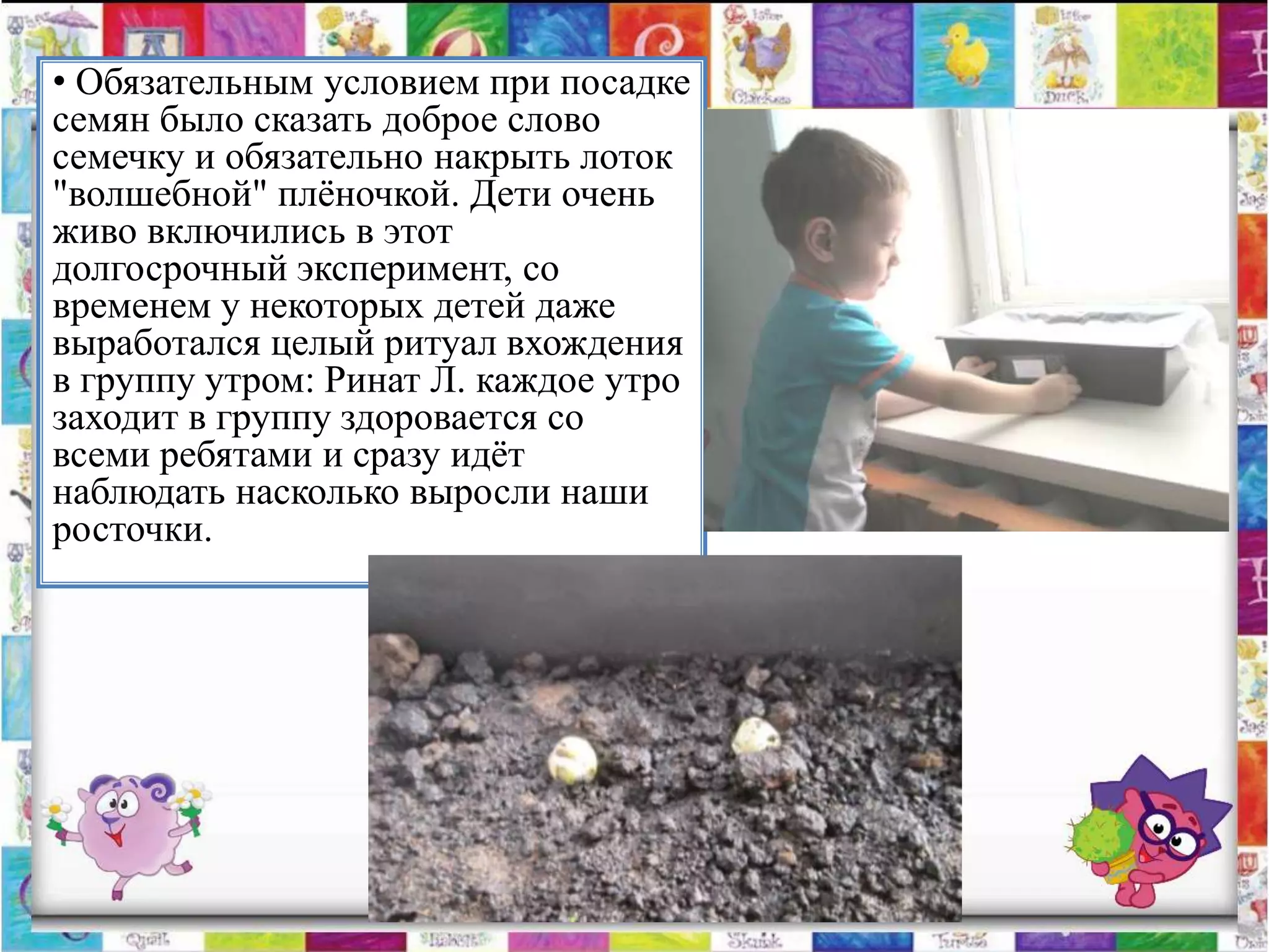 • Обязательным условием при посадке
семян было сказать доброе слово
семечку и обязательно накрыть лоток
"волшебной" плѐночкой. Дети очень
живо включились в этот
долгосрочный эксперимент, со
временем у некоторых детей даже
выработался целый ритуал вхождения
в группу утром: Ринат Л. каждое утро
заходит в группу здоровается со
всеми ребятами и сразу идѐт
наблюдать насколько выросли наши
росточки.
 