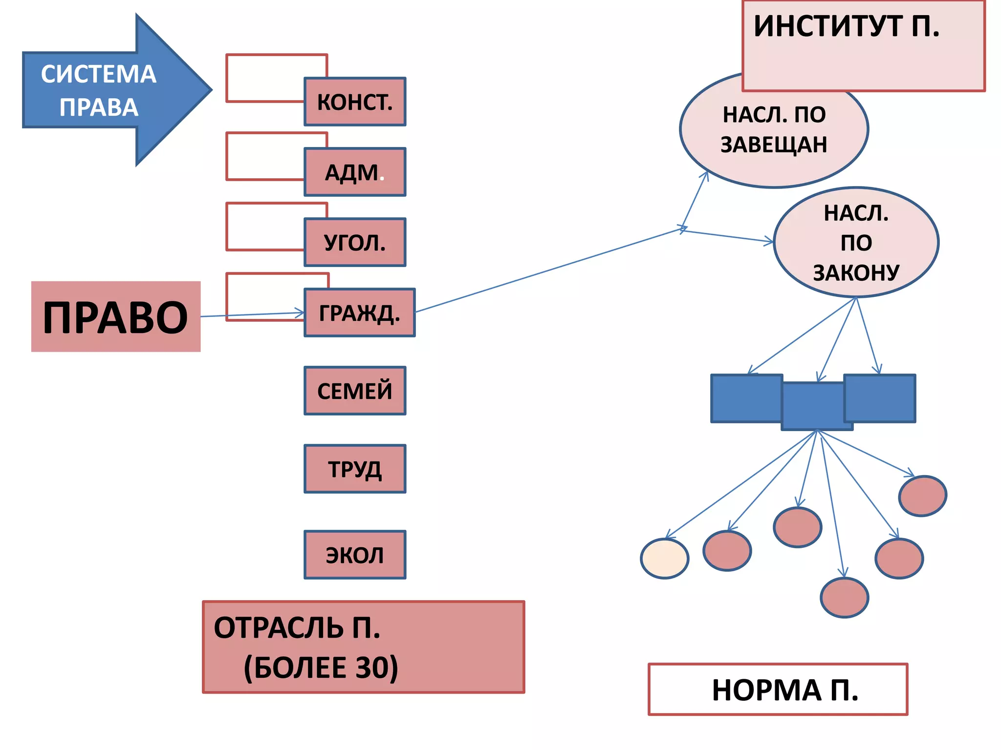 ИНСТИТУТ П.
СИСТЕМА
 ПРАВА          КОНСТ.   НАСЛ. ПО
                         ЗАВЕЩАН
                АДМ.
                                НАСЛ.
                УГОЛ.            ПО
                               ЗАКОНУ

ПРАВО           ГРАЖД.


                СЕМЕЙ


                ТРУД


                ЭКОЛ

          ОТРАСЛЬ П.
           (БОЛЕЕ 30)
                         НОРМА П.
 