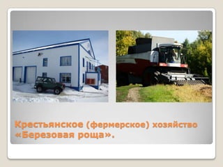 Крестьянское (фермерское) хозяйство
«Березовая роща».
 