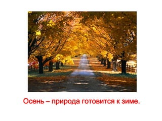 Презентация Осень | PPT
