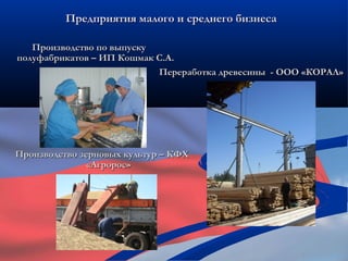 Предприятия малого и среднего бизнеса

   Производство по выпуску
полуфабрикатов – ИП Кошмак С.А.
                           Переработка древесины - ООО «КОРАЛ»




Производство зерновых культур – КФХ
               «Агророс»
 
