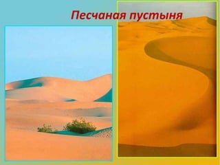степи и пустыни | PPT
