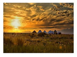 степи и пустыни | PPT