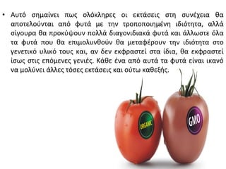 • Αυτό σημαίνει πως ολόκληρες οι εκτάσεις στη συνέχεια θα
  αποτελούνται από φυτά με την τροποποιημένη ιδιότητα, αλλά
  σίγουρα θα προκύψουν πολλά διαγονιδιακά φυτά και άλλωστε όλα
  τα φυτά που θα επιμολυνθούν θα μεταφέρουν την ιδιότητα στο
  γενετικό υλικό τους και, αν δεν εκφραστεί στα ίδια, θα εκφραστεί
  ίσως στις επόμενες γενιές. Κάθε ένα από αυτά τα φυτά είναι ικανό
  να μολύνει άλλες τόσες εκτάσεις και ούτω καθεξής.
 