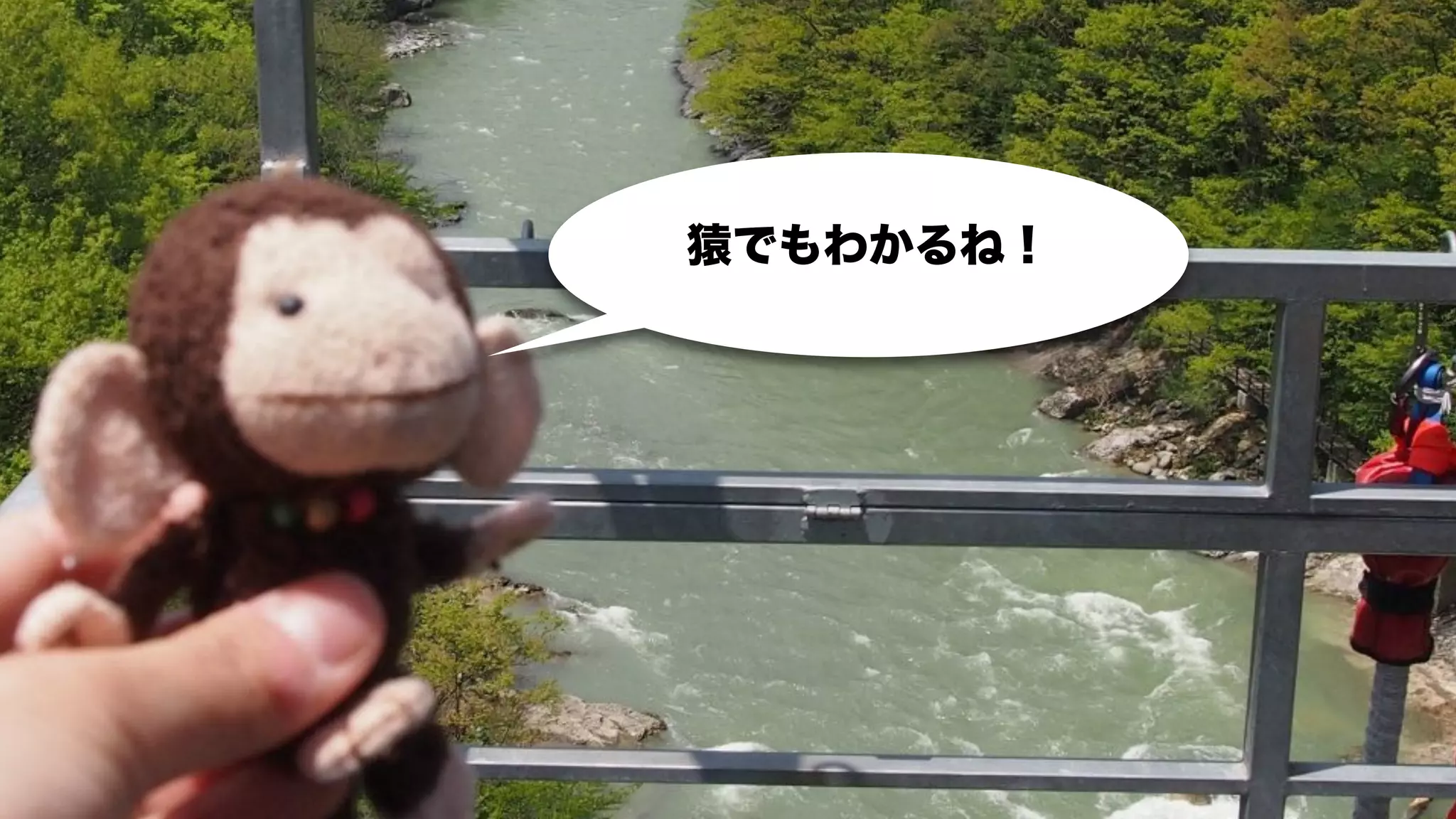 猿でもわかるね！
 