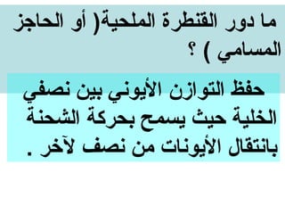 ‫ما دور القنطرة الملحية) أو الحاجز‬
                      ‫المسامي ( ؟‬
 ‫حفظ التوارزن اليووني بين ونصفي‬
 ‫الخلية حيث يسمح بحركة الشحنة‬
 ‫باونتقال اليوونات من ونصف لخر .‬
 